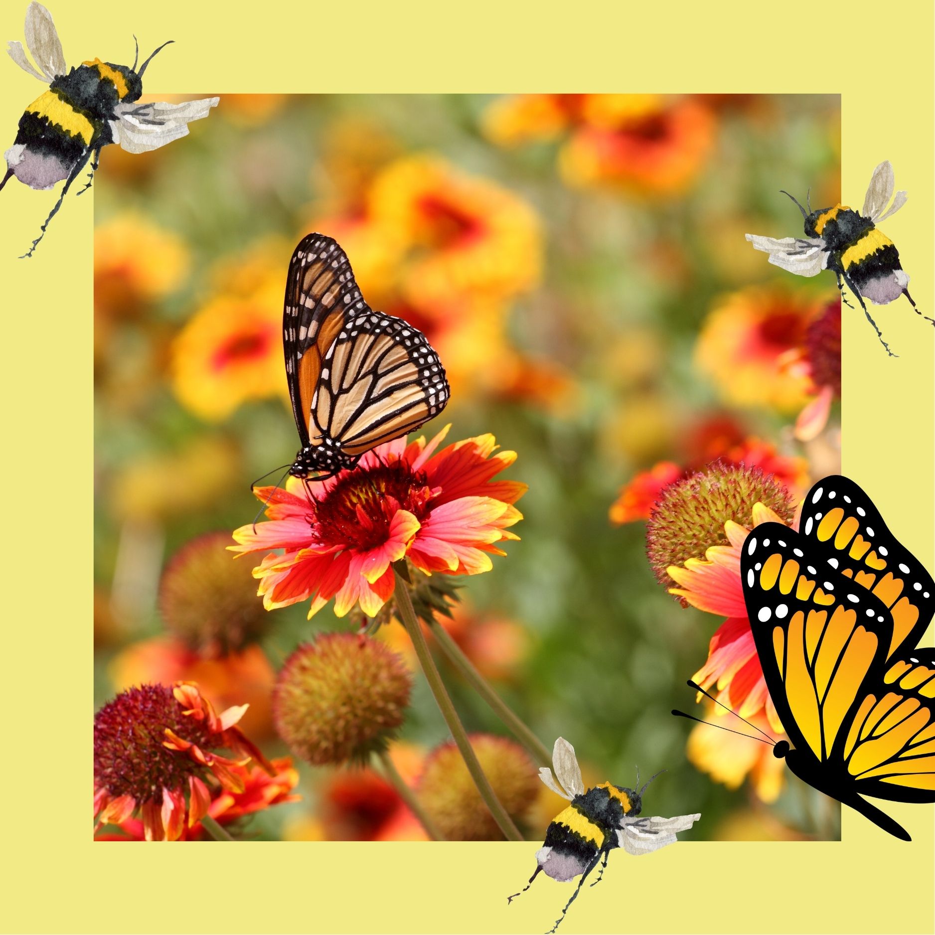 Red and yellow flowers with butterflies and bees